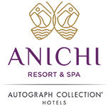 Anichi Development Logo